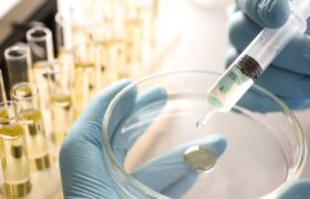Terapias Biológicas: Regeneración desde el interior
